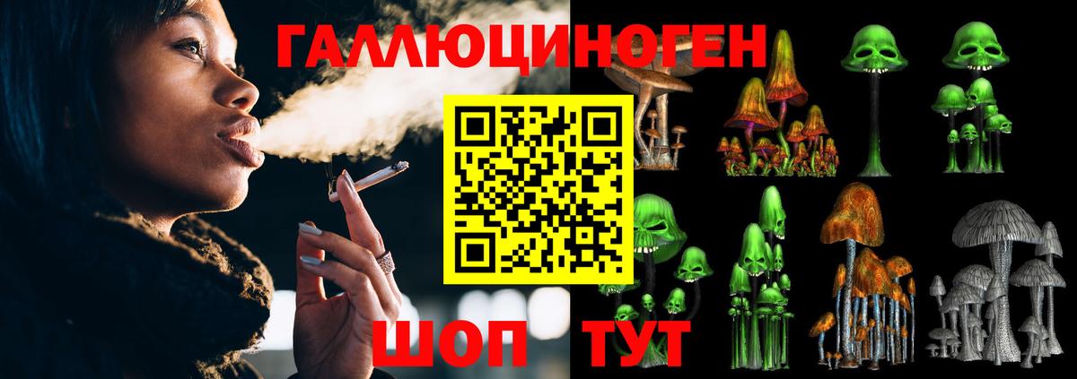 Ступино  закладка  Вход с VPN  Псилоцибиновые грибы Psilocybine cubensis 